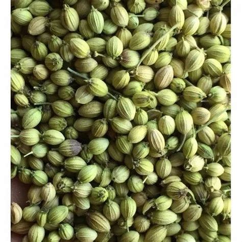 Years Coriander Seed Gunny Bag Packaging Size Kg At Rs