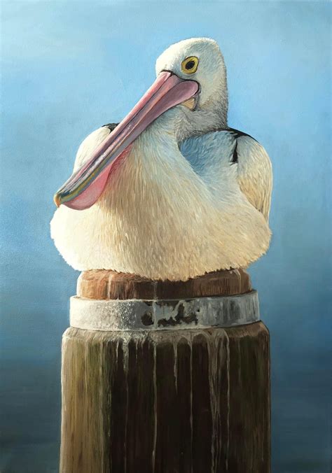 Oil Painting Of Australian Pelican Etsy