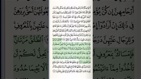 Quran Majeed Surah Al Baqarah Ayat 229 Mishary Rashid Al Afasy