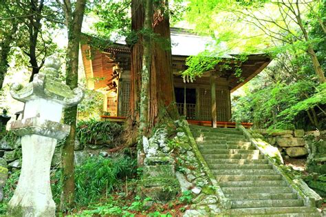 茶の文化館 体験プラン 【公式】福岡県の観光旅行情報サイト「クロスロードふくおか」