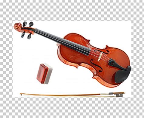 Bass Violin Viola Violone Cello PNG Clipart Bass Violin Bow Bowed