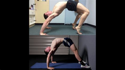 bridge pro fitnessfaqs