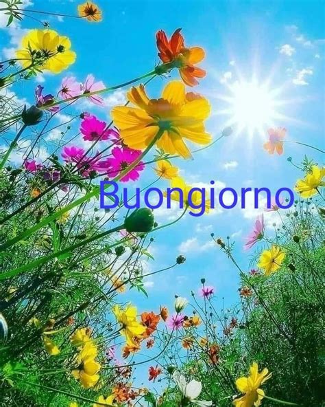 Pin Di Keli Kgb Su Good Morning Buongiorno Bom Dia Buongiorno