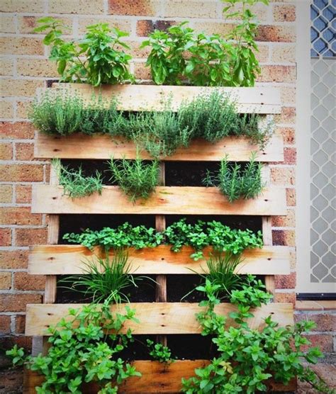 Variety Of Pallet Herb Garden Best Garden Ideas