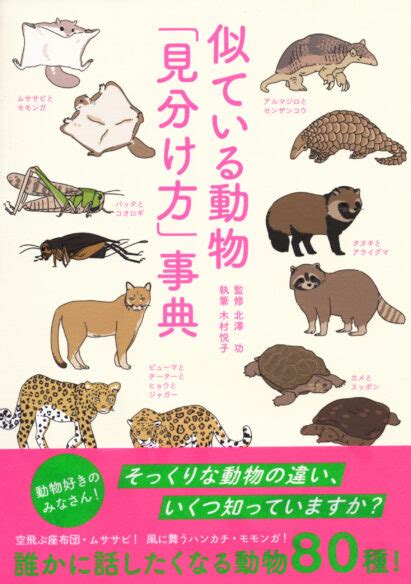 似ている動物「見分け方」事典 いつも、学ぶ人の近くに【ベレ出版】