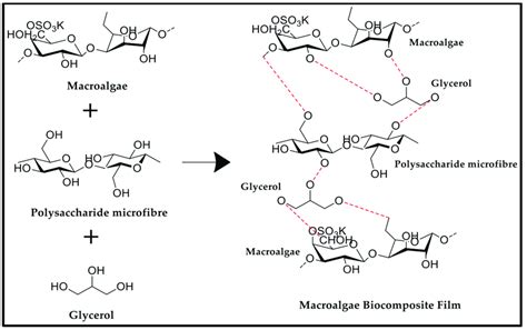 Schematic Representation Of Intermolecular Interaction Between