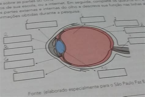 Conhecendo O Olho Humano Para Voc Entender Como O Olho Humano Funciona