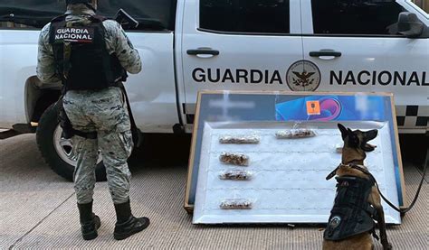 En Sinaloa Guardia Nacional Asegura Ocho Paquetes De Aparente Droga