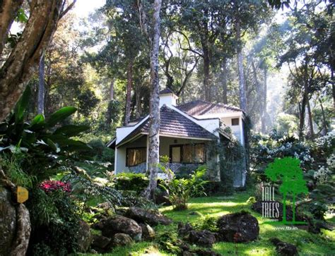 The Tall Trees Resort,Munnar:Photos,Reviews,Deals