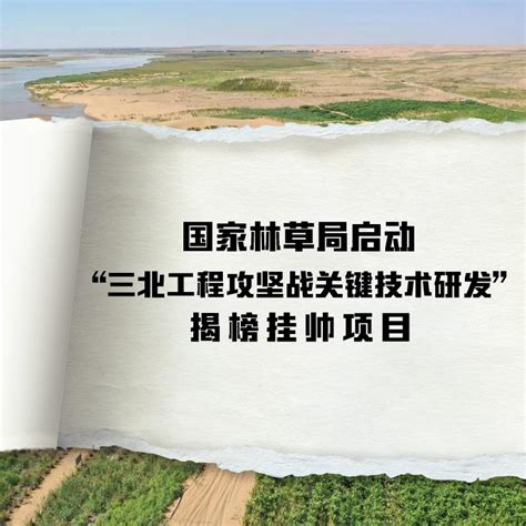 国家林草局启动“三北工程攻坚战关键技术研发”揭榜挂帅项目澎湃号·媒体澎湃新闻 The Paper