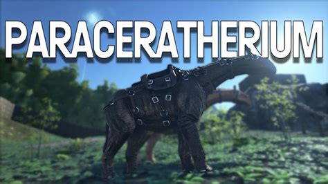 ARK Survival Evolved Paraceratherium zähmen füttern und züchten so