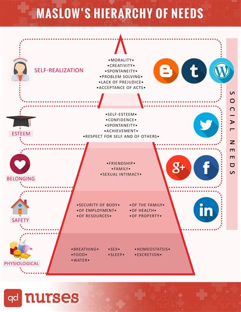 What Is The Hierarchy Of Nursing Degrees Businessbv