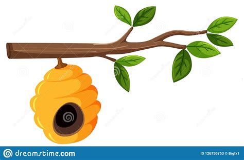 Beehive Hanging From A Tree Branch With Leaves Vector Illustration