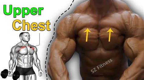 Upper Chest Workout Gym To Build Big Upper Chest Upper Chest Youtube