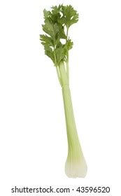 1,824 Celery single stalk Images, Stock Photos & Vectors | Shutterstock