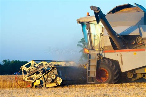 Harvester Machine To Harvest Wheat Field Working Stock Image - Image of ...