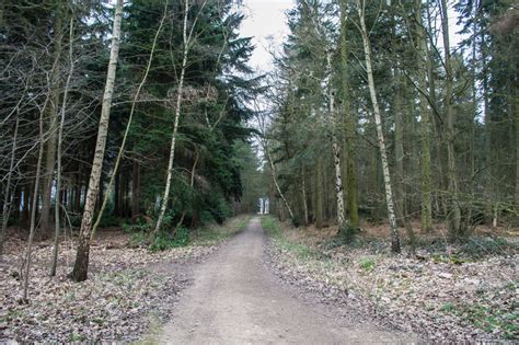 Track Into Stapleford Wood J Hannan Briggs Cc By Sa Geograph