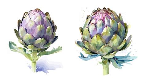 Premium Vector Artichoke Watercolor Painting Style Illustration Vector Set