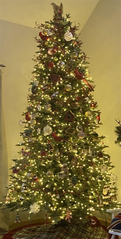 Our Tree With The “hall Of Fame” R Christmas