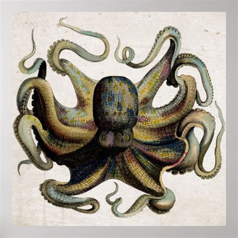 Vintage Octopus Print Poster | Zazzle.com