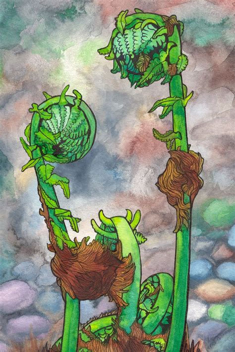 Fiddleheads Original Art Print Watercolor And Ink Painted By Abby