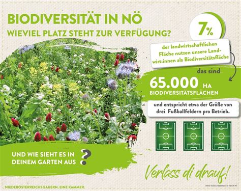 Biodiversit T Im Gr Nland Landwirtschaft Verstehen