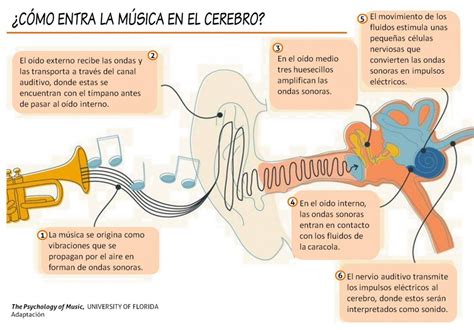 Proyecto Musical