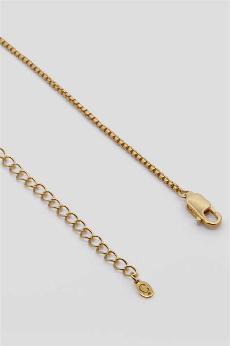 Box Chain Necklace in Champagne Gold | Curious Creatures