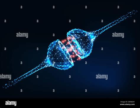 Neural Synapse Electric And Chemical Signals Between Two Neurons