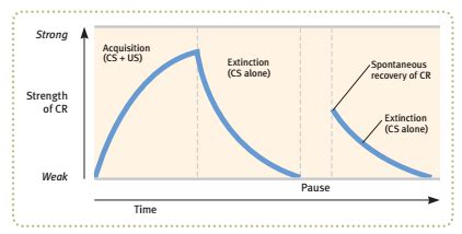 Ap Psychology Unit Classical And Operant Conditioning And