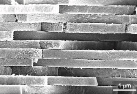 esa microscopic view  natural nacre