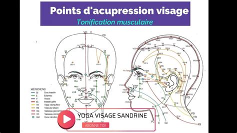 Points Dacupression Pour La Tonification Musculaire Yogavisage Youtube