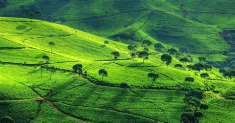 Bandung Kota Kembang Yang Kaya Akan Destinasi Wisata