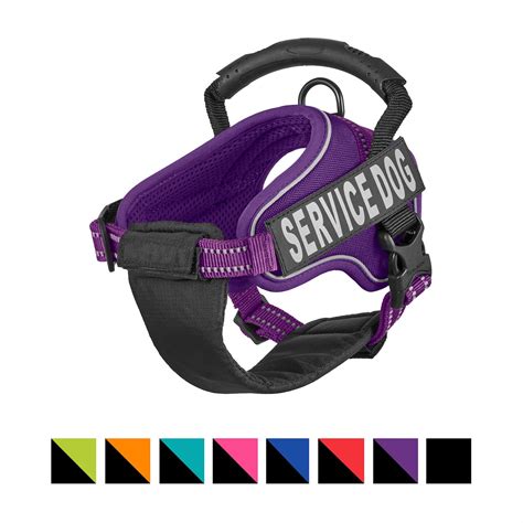 Chai's Choice Service Dog Vest Harness, X-Small, Purple - Chewy.com