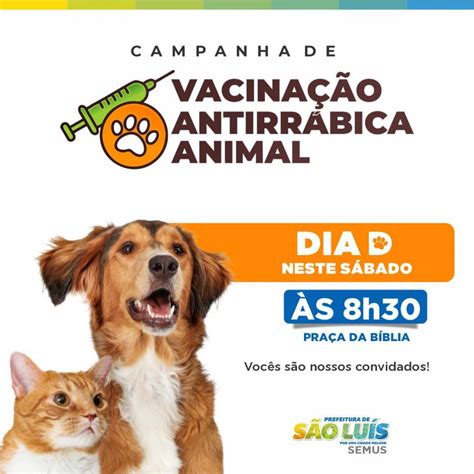 Semus Prefeitura De São Luís Inicia Campanha De Vacinação De Cães E