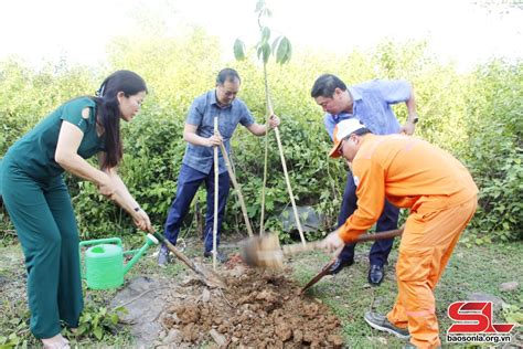 Phát động trồng cây chào mừng Cách mạng tháng Tám và Quốc khánh 2 9