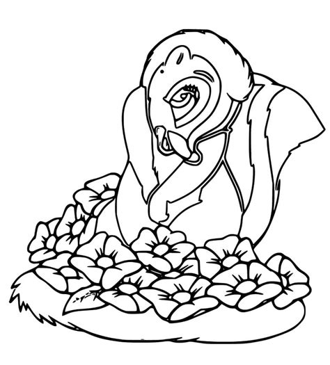 Flower The Skunk Coloring Pages Best Flower Site