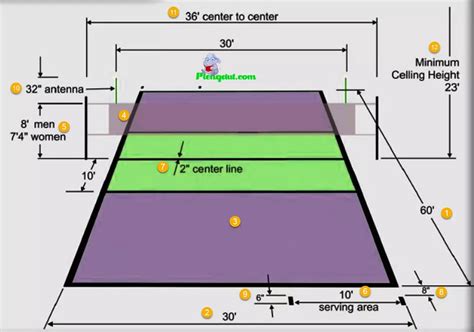 Gambar Lapangan Volly Dan Ukurannya Serat