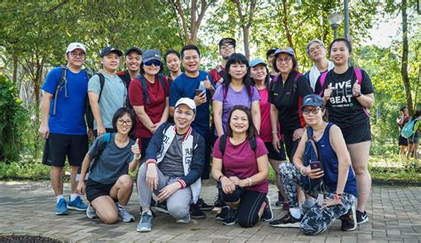 Wong Fong Engineering - MacRitchie Reservoir TreeTop Walk 2019