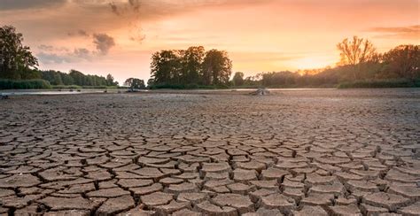 La Sequía Persiste En México Afecta A Nueve Estados Y Más Del 60 De