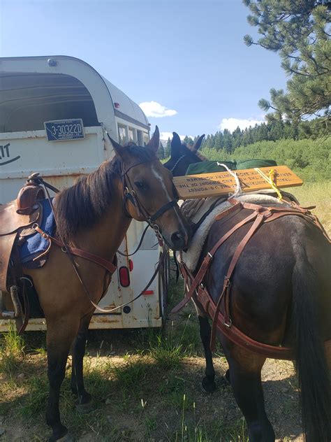 Island Lake trail5 | Beartooth Back Country Horsemen