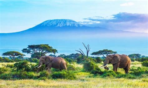 5 Days Tanzania wildlife safari - Ngorongoro Crater Tanzania