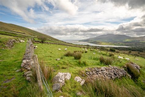 Rural Landscape Dingle Peninsula Telepathic Stuntman