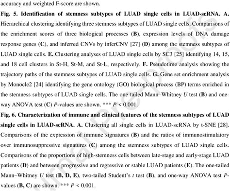 A Summary Of Molecular And Clinical Features Of The LUAD Stemness