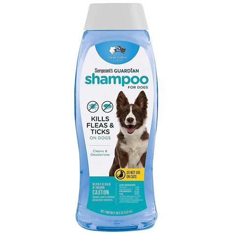 7 Best Flea & Tick Shampoos for Dogs – KeyPetCare.com