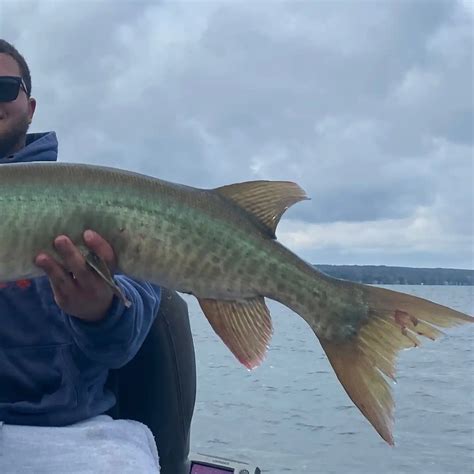 ᐅ Chautauqua Lake fishing reports Jamestown NY United States fishing