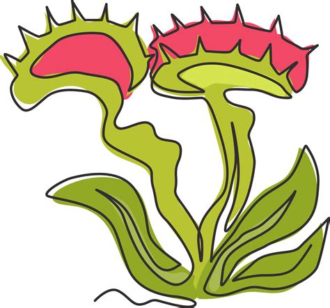 Venus Fly Trap Illustration