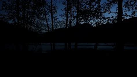 Lake in dark. Trees. Night sky. | Stock Video | Pond5