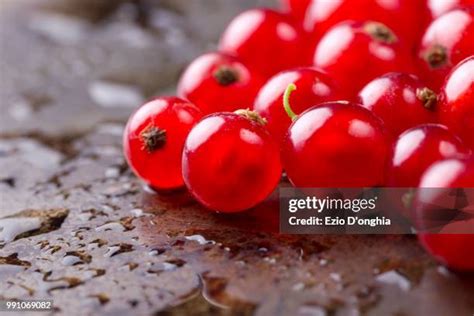 7,044 Ribes Stock Photos, High-Res Pictures, and Images - Getty Images