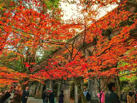 10 Best Autumn Leaves Spots In Kyoto 2020 Japan Web Magazine